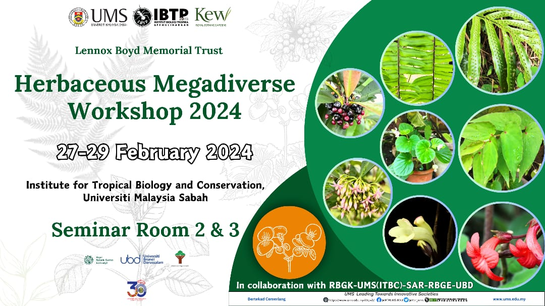 HMW 2024: Herbaceous Megadiverse Workshop 2024